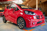 Casalini M14 Rot